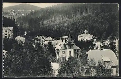 AK Kipsdorf /Sächs. Erzgebirge, Ortsansicht aus der Vogelschau