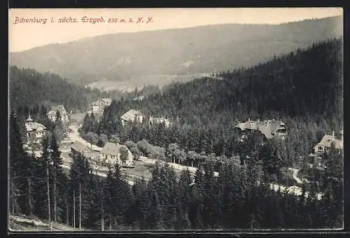 AK Bärenburg i. sächs. Erzgeb., Totale vom Berg aus gesehen