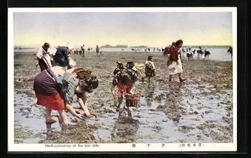 AK Shell-gathering at the low tide, Frauen sammeln Muscheln