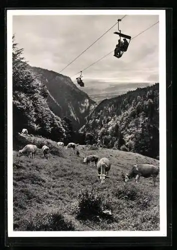 AK Weissenstein, Bergbahn mit Blick auf das Seeland