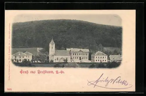 AK Pressbaum /N.Oe., Kirche und umliegende Gebäude