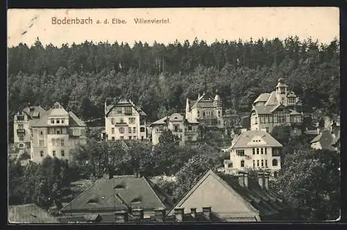 AK Bodenbach / Elbe, Blick auf das Villenviertel