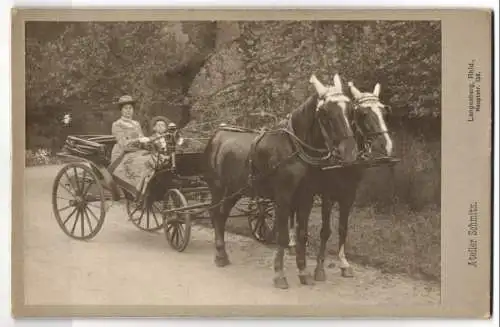 Fotografie Atelier Schmitz, Langenberg / Rheinland, Hauptstr. 138, Edeldame steuert Zweispänner Pferdekutsche