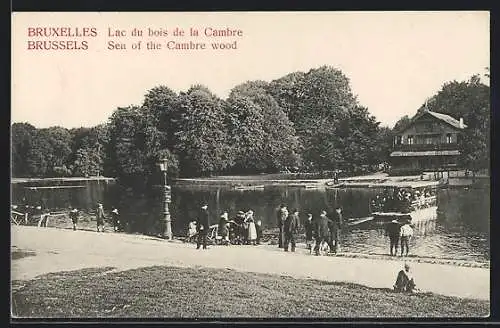 AK Brüssel / Bruxelles, Lac du bois de la Cambre