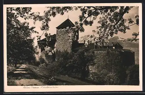 AK Vaduz, Schloss Vaduz mit Strasse