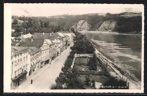 AK Aschach a. d. Donau, Strassenpartie mit Bäumen