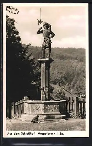 AK Mespelbrunn i. Sp., Brunnen im Schlosshof