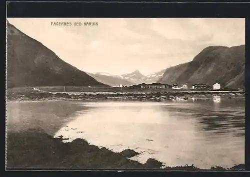 AK Narvik, Fagernes