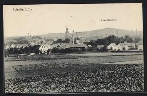 AK Pulsnitz i. Sa., Blick auf Ort und Schwedenstein