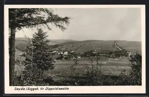 AK Seyde /Erzgeb., Ortsansicht aus der Ferne