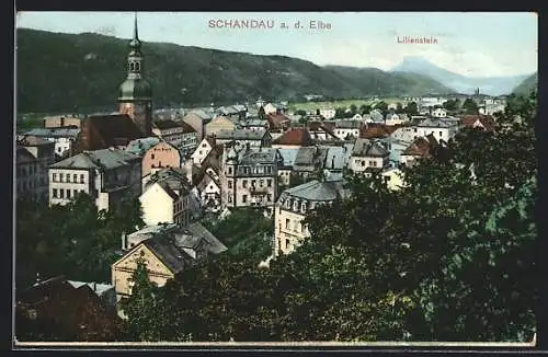 AK Schandau a. d. Elbe, Teilansicht mit Kirche und Lilienstein