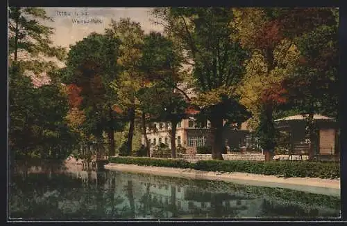 AK Zittau i. Sa., Ufer im Weinau-Park