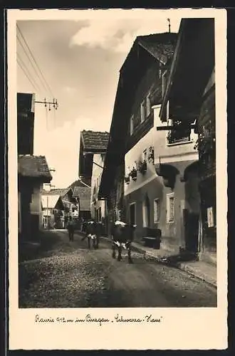 AK Rauris im Pinzgau, Kühe vor dem Schwarza-Haus