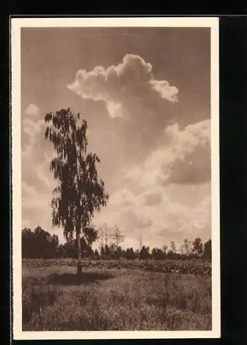 AK Abend im Spreewald WHW Winterhilfswerk 1934 /35