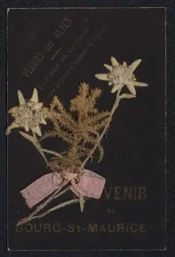 Trockenblumen-AK Bourg-St-Maurice, Aufgeklebte Trockenblume Edelweiss aus den Alpen