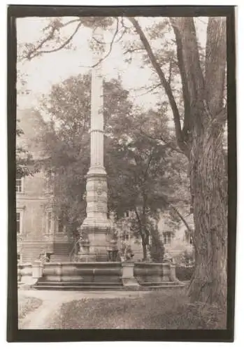 Fotografie W. Apel, Berlin, Ansicht Eichstätt, Mariensäule mit Wasserspiel