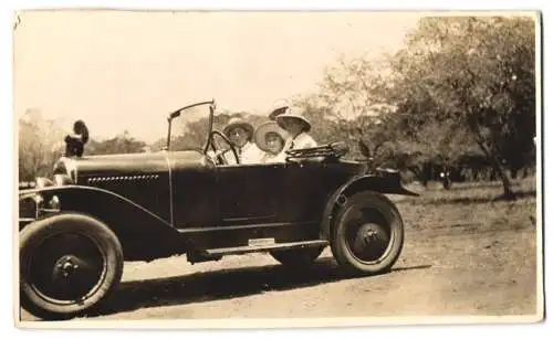 Fotografie Auto Cabrio, Eichhörnchen auf Motorhaube des Cabriolet's