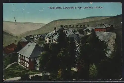 AK Todtnauberg /Schwarzwald, Blick vom Landhaus Herrihof