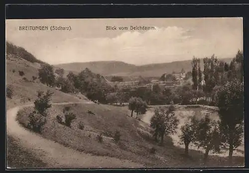 AK Breitungen /Südharz, Blick vom Deichdamm