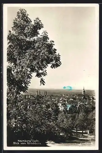 AK Naumburg /Saale, Blick vom Kirschberg mit Kirche