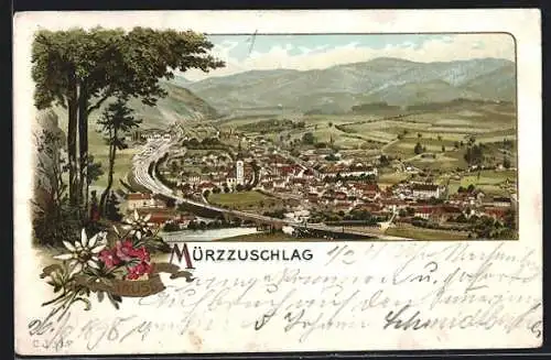 Lithographie Mürzzuschlag, Blick über den Ort, Blumen