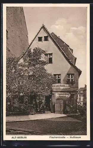 AK Alt-Berlin, Restaurant zum Nussbaum, Fischerstrasse