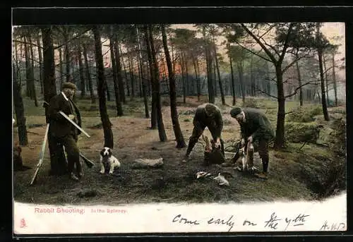 AK Rabbit Shooting, in the Spinney, Jagd