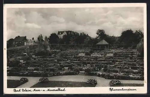 AK Bad Polzin, Blumenterrassen mit Sitzbänken