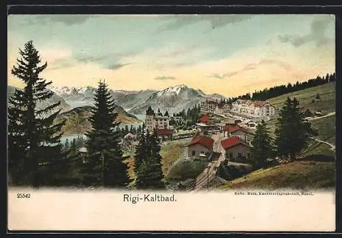 AK Rigi-Kaltbad, Ortsansicht aus der Vogelschau