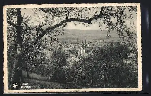 AK Diekirch, Panorama