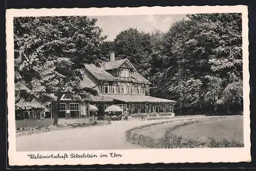 AK Schöppenstedt, Elm, Waldgasthaus Tetzelstein