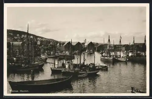 AK Tromso, Havnen, Dampfer