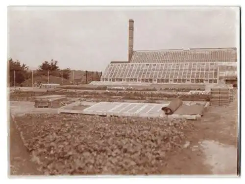 Fotografie Hermann Becker, Limburg, Ansicht Diez / Lahn, Gärtnerei Schwalbenstein