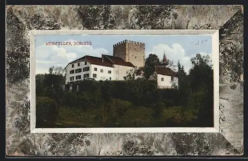 AK Weinfelden, Blick zum Schloss