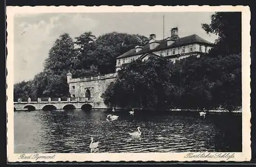 AK Bad Pyrmont, Schwäne vor dem fürstlichen Schloss