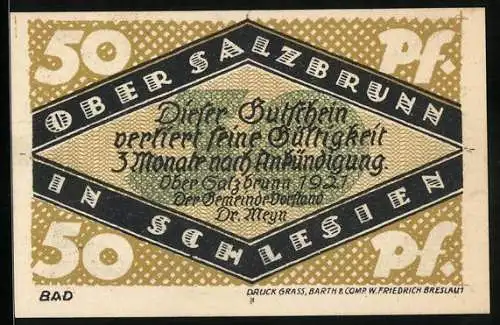 Notgeld Bad Salzbrunn i. Schl. 1921, 50 Pfennig, Blick auf die Burg