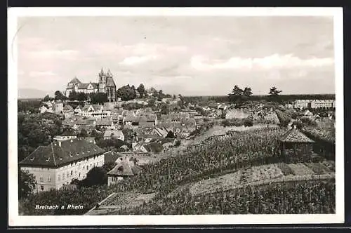 AK Breisach a. Rhein, Ortsansicht mit Schloss