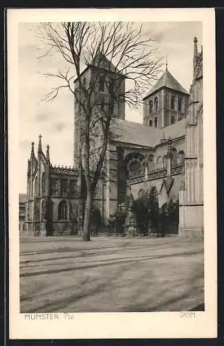 AK Münster i. W., Der Dom im Herbst