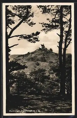 AK Wurmlingen / Tübingen, Blick zur Wurmlinger Kapelle