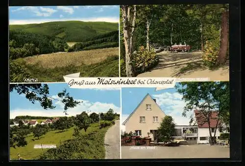 AK Meiswinkel bei Odenspiel, Grünschlade, Haus am Wald, Schattiger Winkel