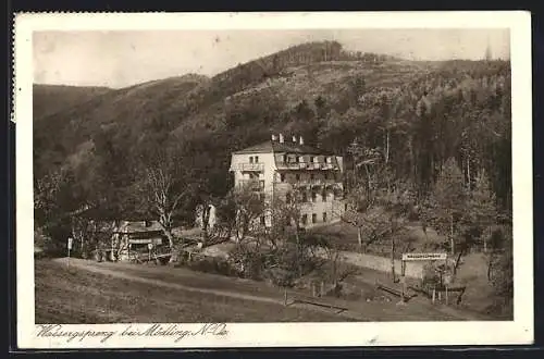 AK Hinterbrühl /N.-Oe., Wassergspreng, Hotel-Cafe-Restaurant Wimmer