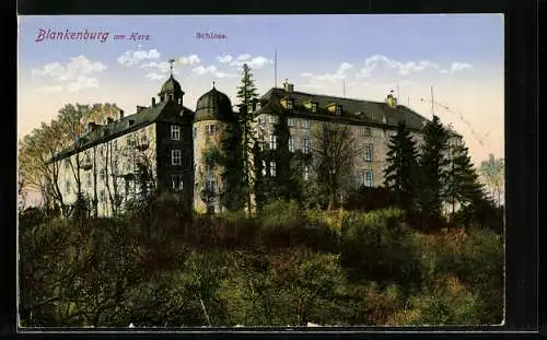 AK Blankenburg am Harz, Blick auf das Schloss