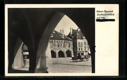 AK Wiener-Neustadt, Laubendurchblick mit Apotheke