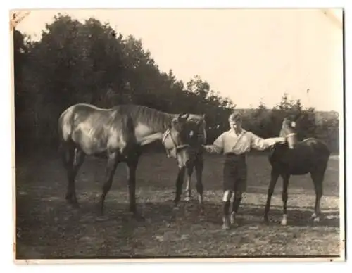 10 Fotografien unbekannter Fotograf, Ansicht Glauch / Ortelsburg, Familie mit Villa / Herrenhaus, Ortsansicht & Kutsche