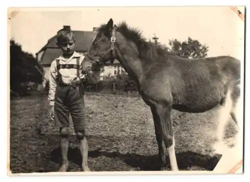 10 Fotografien unbekannter Fotograf, Ansicht Glauch / Ortelsburg, Familie mit Villa / Herrenhaus, Ortsansicht & Kutsche