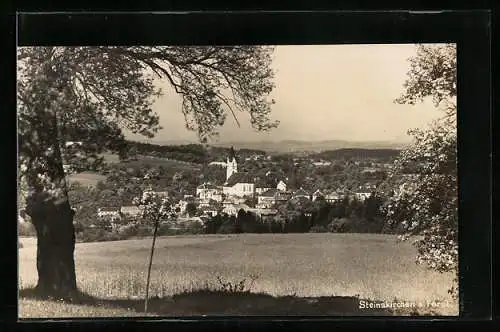 AK Steinakirchen am Forst, Teilansicht mit Kirche