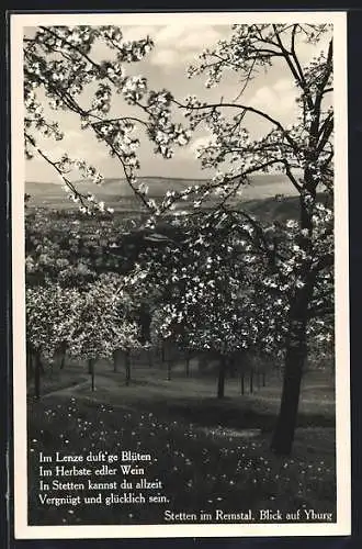 AK Stetten im Remstal, Blick auf Yburg