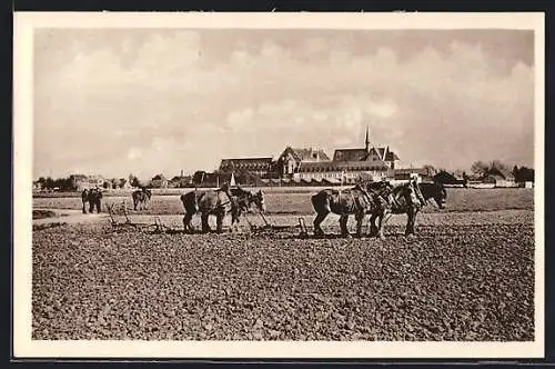 AK Tournai, Passy-Froyennes, Travaux des champs à Froyennes