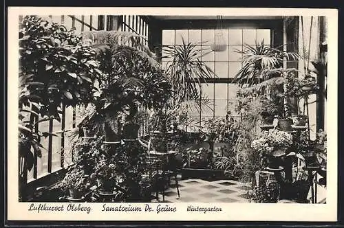 AK Olsberg, Wintergarten im Sanatorium Dr. Grüne