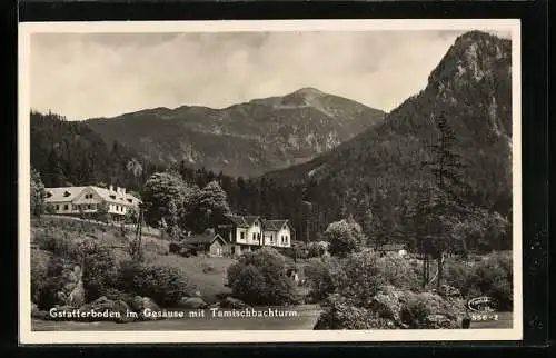 AK Gstatterboden im Gesäuse, Ortsansicht mit Tamischbachturm